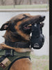 Outdoor Head-mount Noise Reduction Pickup Headphones Hearing Protection Earmuffs